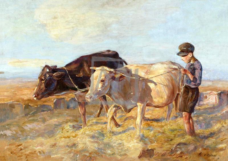 Ο μικρός ζευγάς / Βόδια στο αλώνι