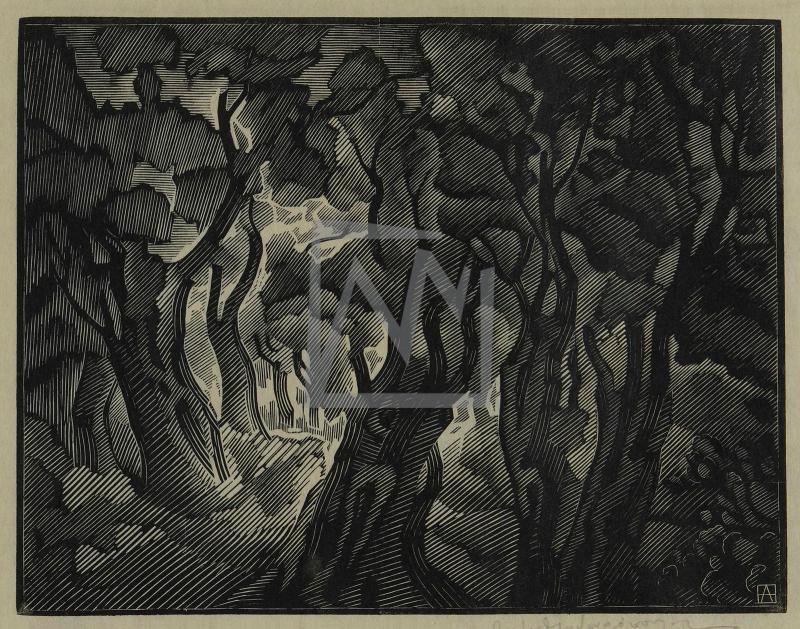 Τοπίο (Δάσος)