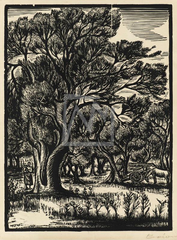 Τοπίο με δέντρα