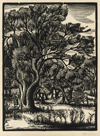 Landscape with trees